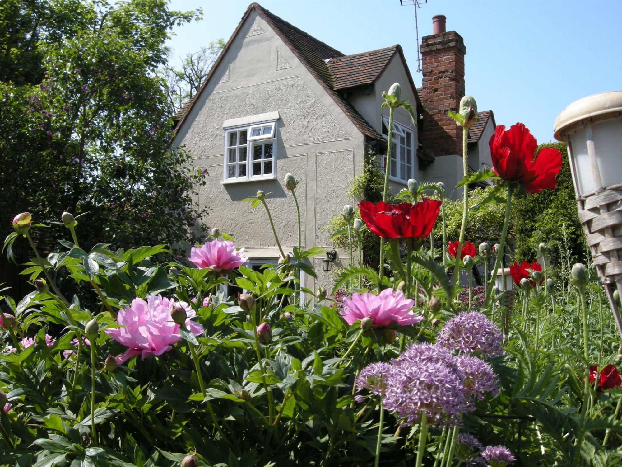Motts Bed & Breakfast Great Dunmow Exterior foto
